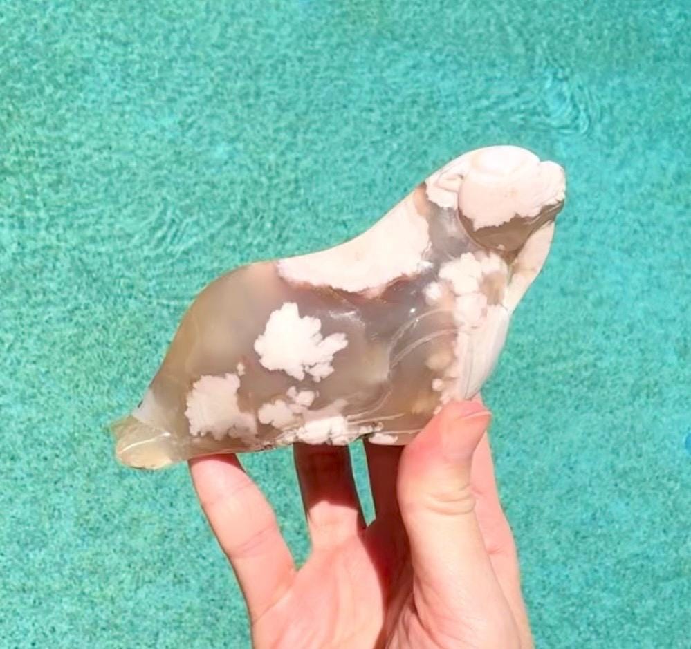Flower Agate Walrus, Flower Agate Sea Lion Carving