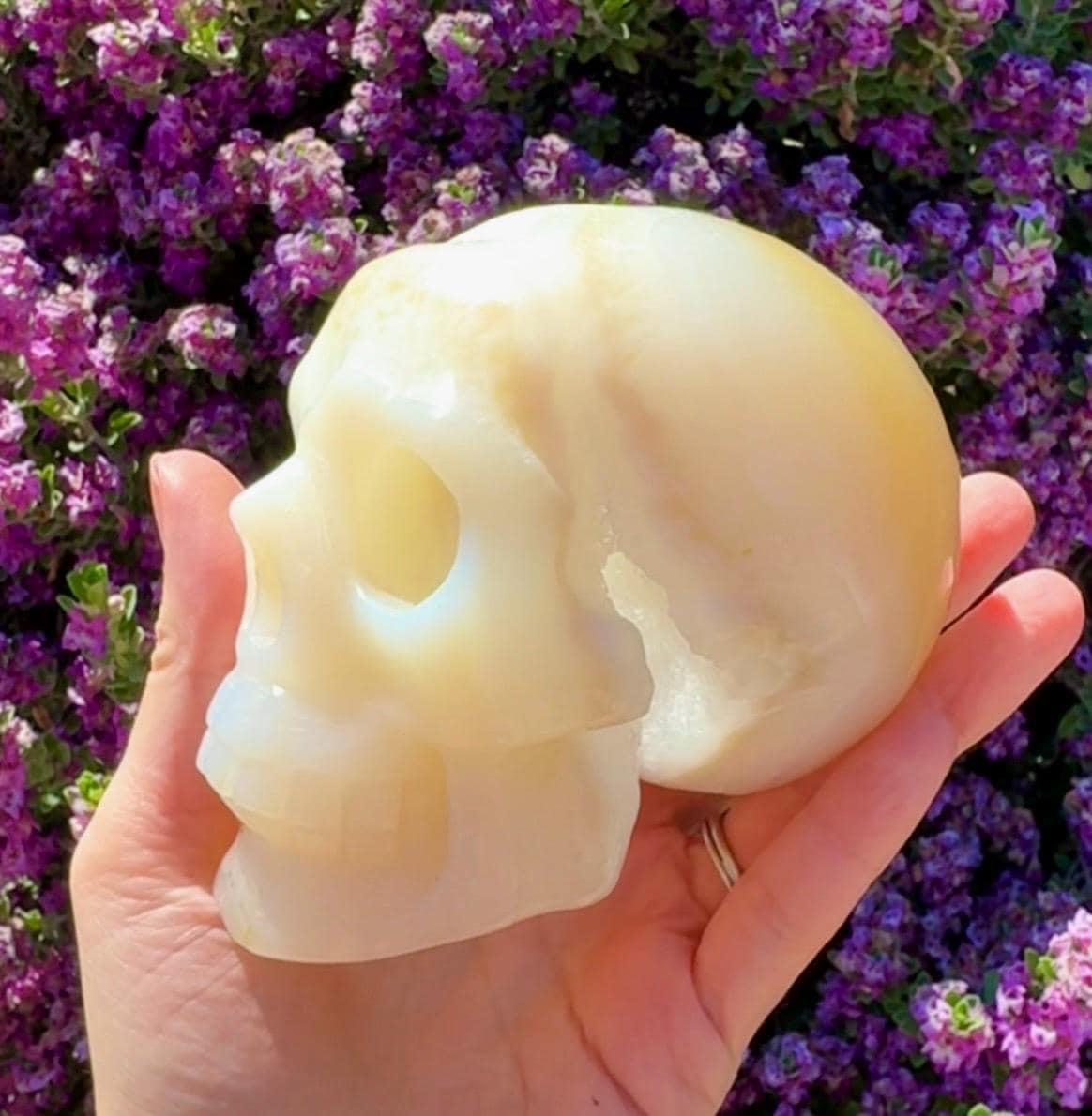 Druzy Agate Crystal Skull
