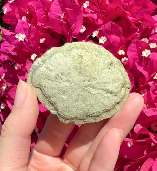 Pyrite Sun