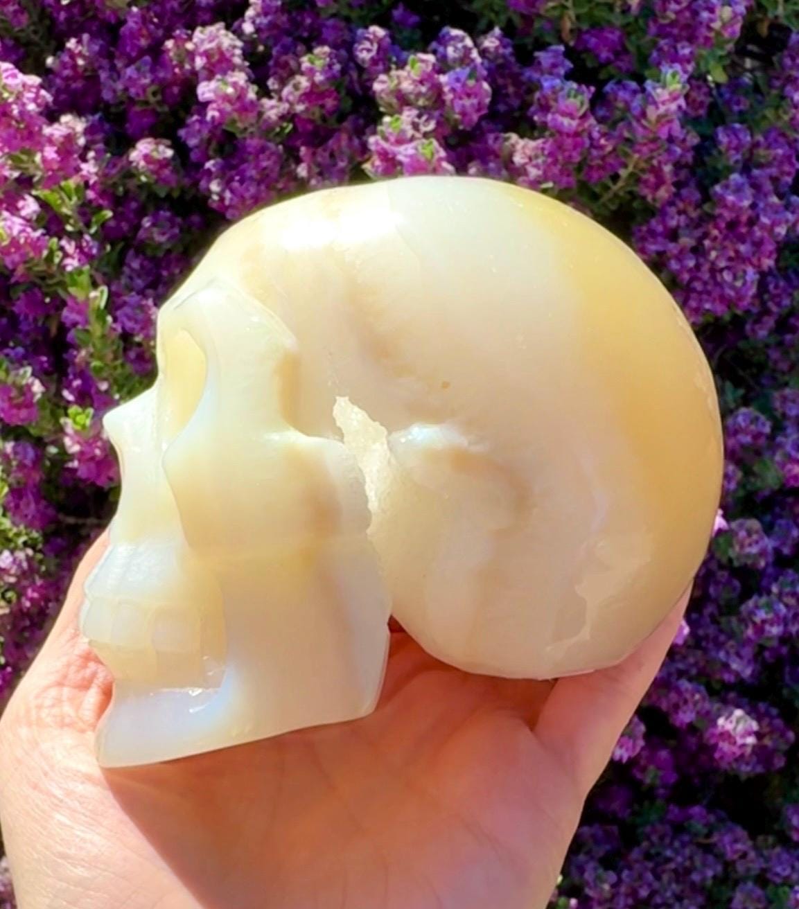 Druzy Agate Crystal Skull