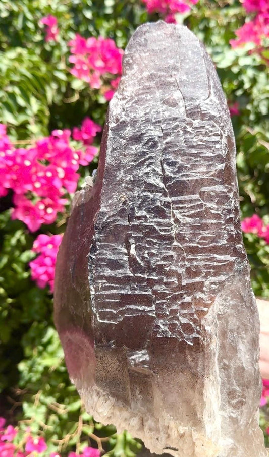 Elestial Smokey Quartz Crystal With Super Seven