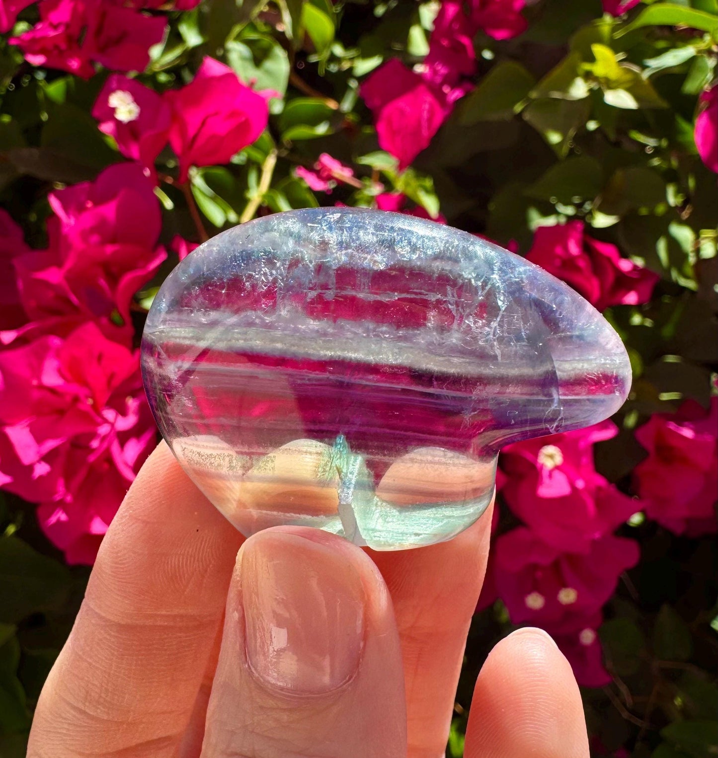 Mexican Fluorite Handcarved Mini Bear Zuni Totem Animal Carving