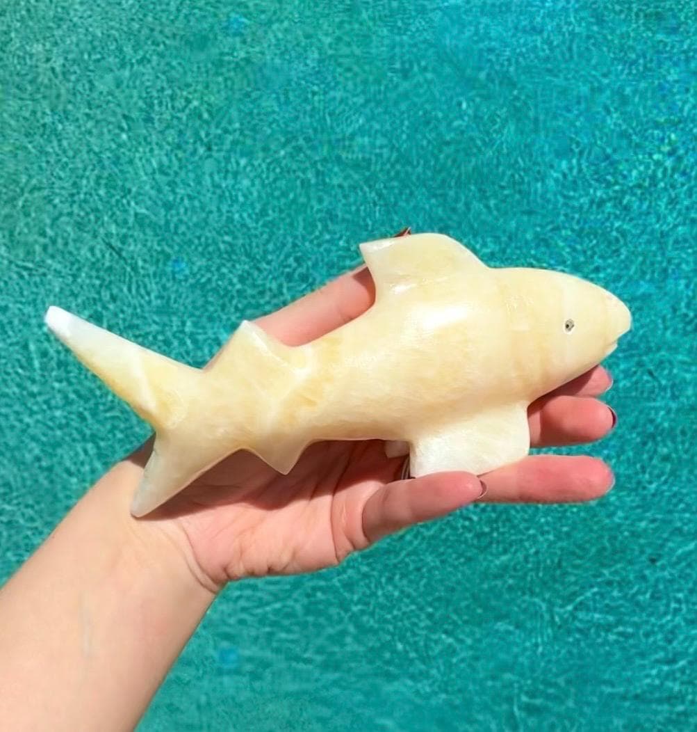 Onyx Shark Carving From Mexico