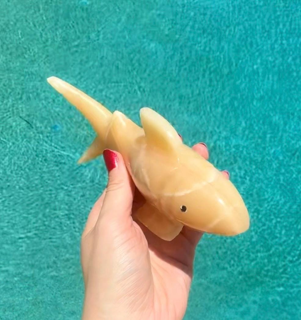 Onyx Shark Carving From Mexico