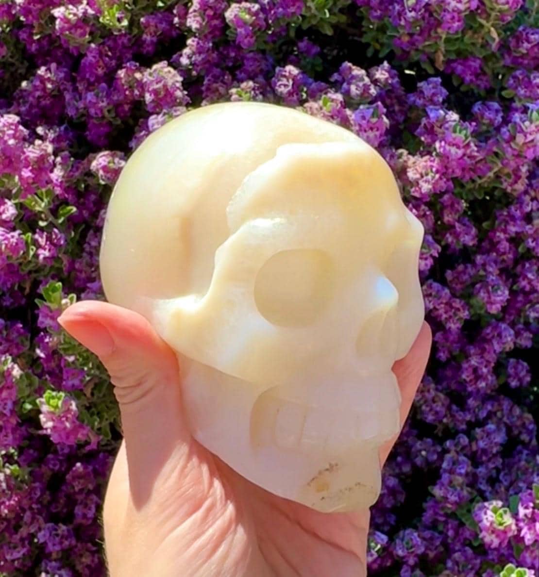 Druzy Agate Crystal Skull