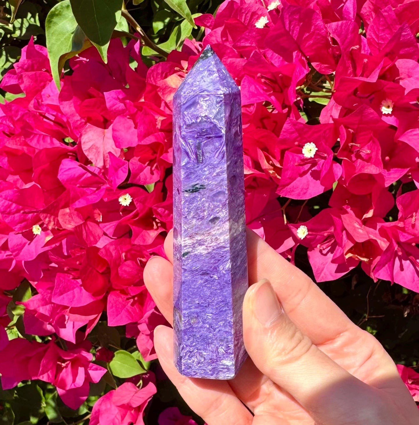 Rare Tall Charoite Point