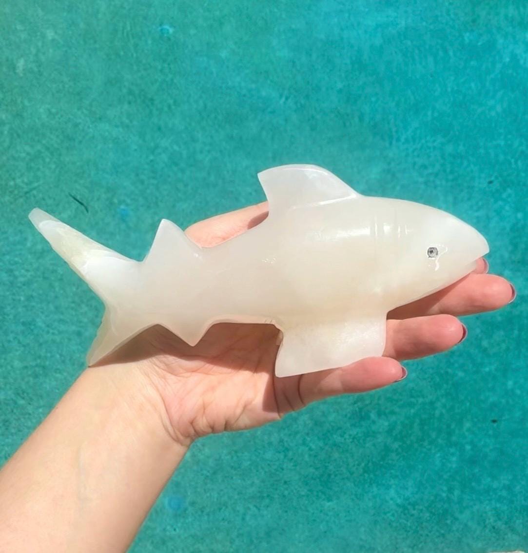 Onyx Shark Carving From Mexico