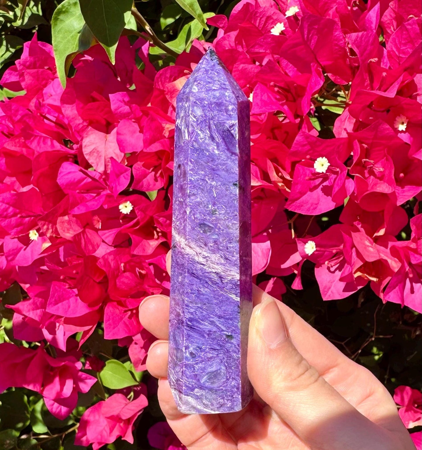 Rare Tall Charoite Point