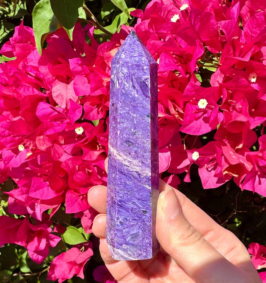 Rare Tall Charoite Point