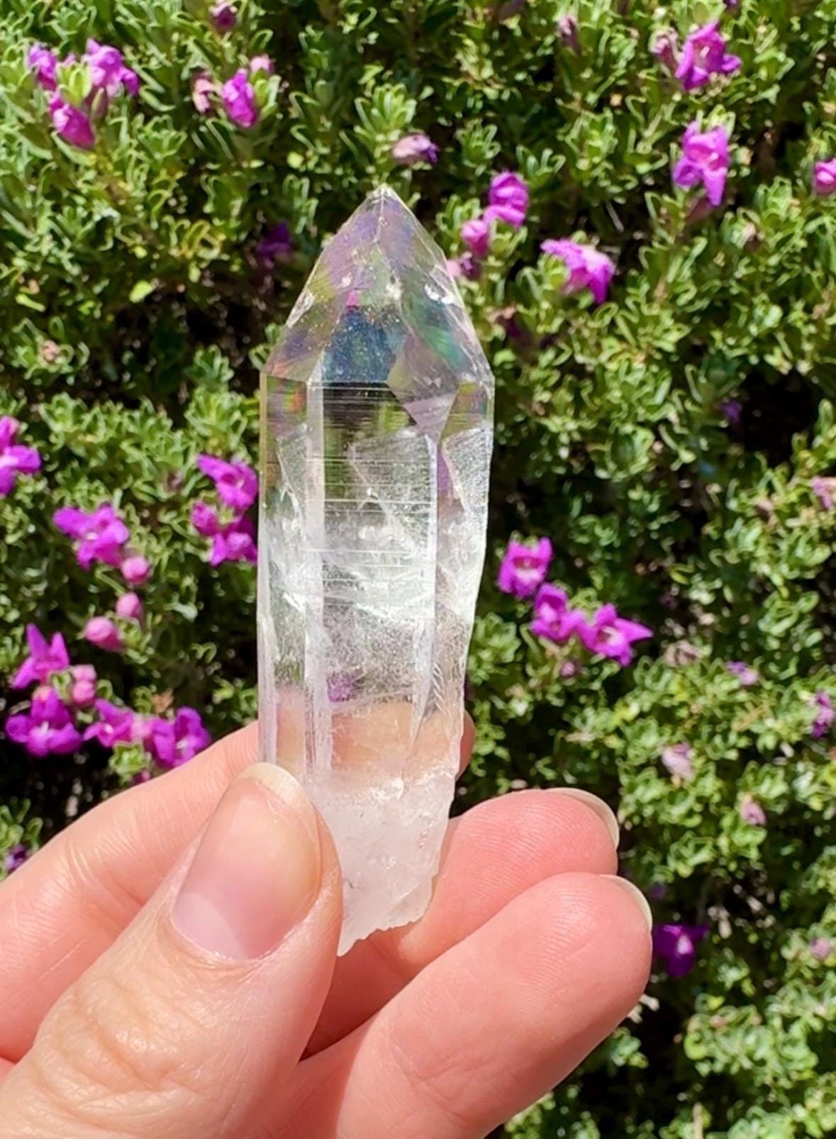 High Quality Colombian Lemurian