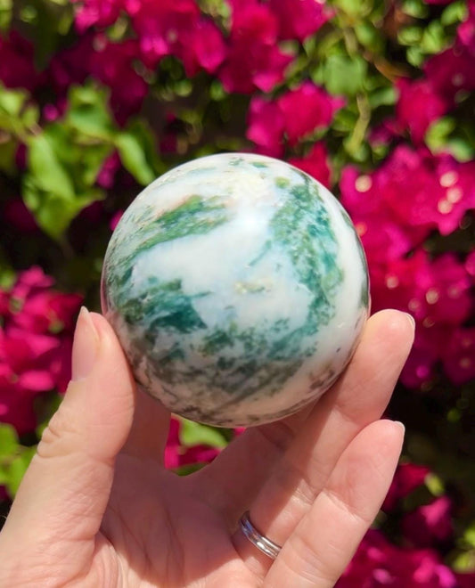 Tree Agate Sphere Crystal Ball
