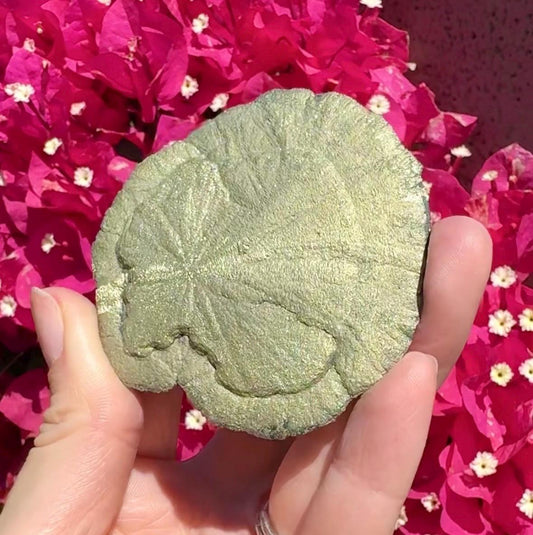 Pyrite Sun
