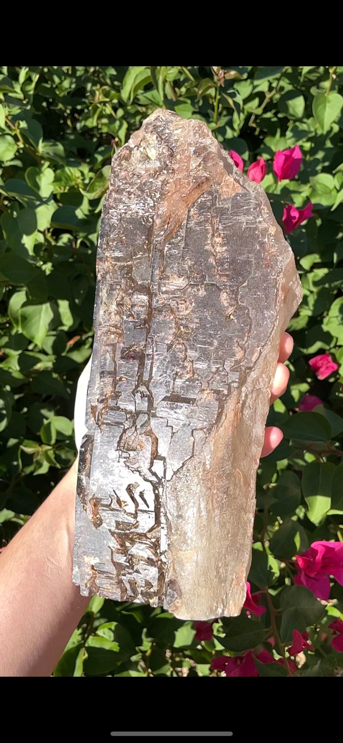 Elestial Smokey Quartz Crystal With Super Seven