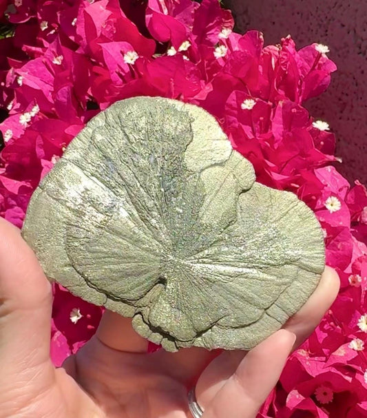 Pyrite Sun