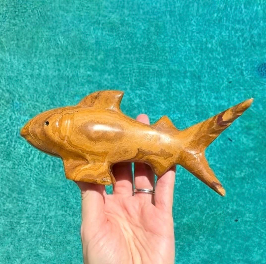 Onyx Shark Carving From Mexico