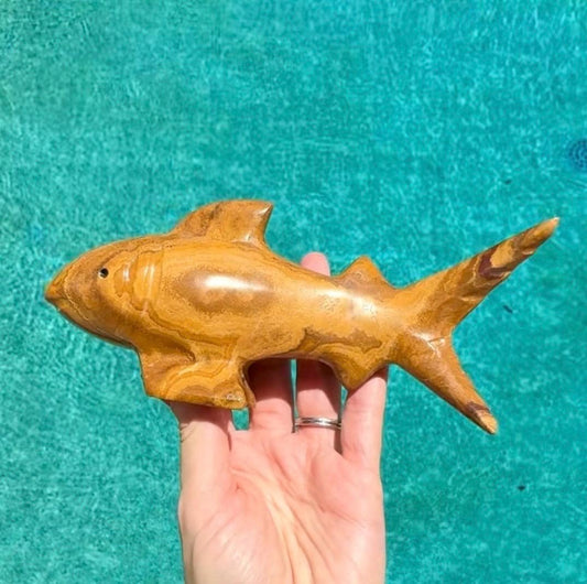 Onyx Shark Carving From Mexico