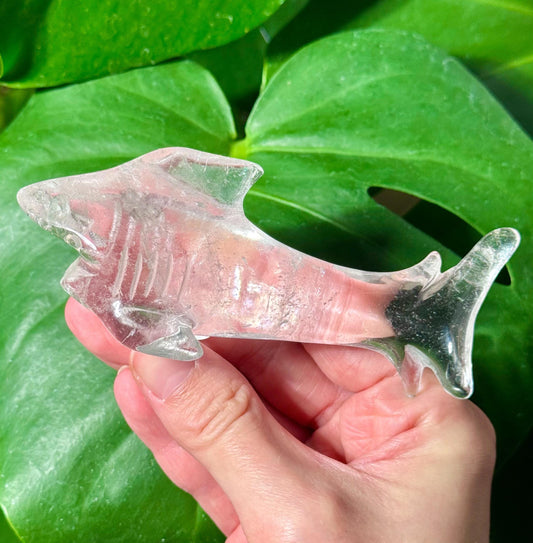 Clear Quartz Shark Carving