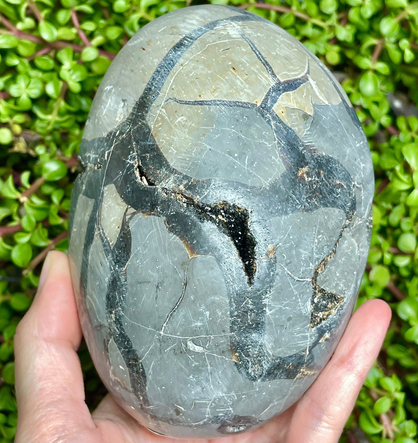Druzy Septarian Egg