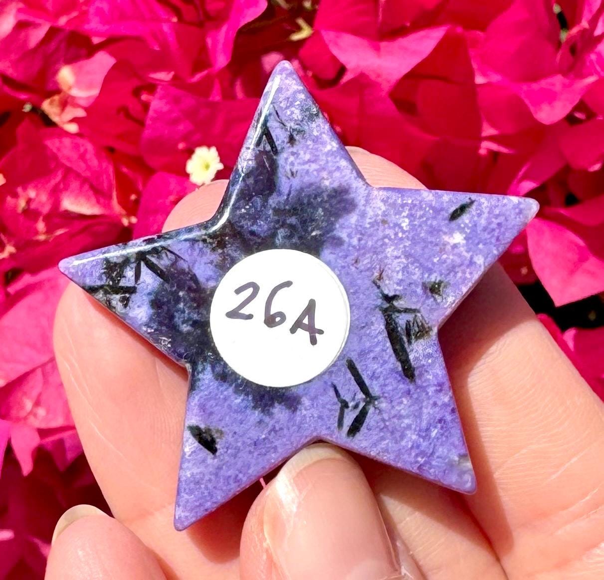 Rare Charoite Star