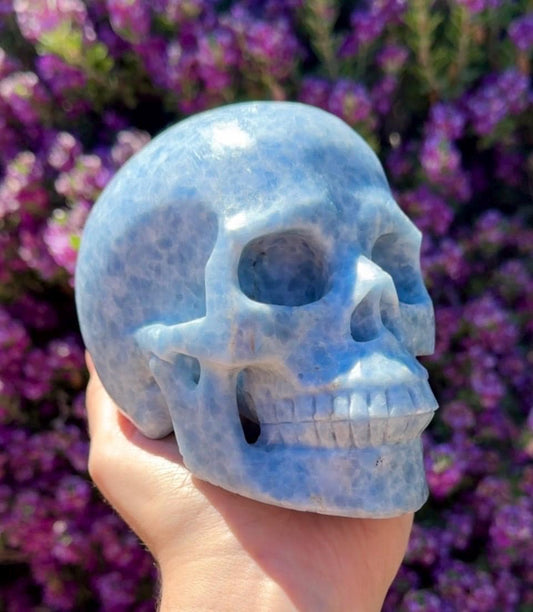 Gorgeous Huge Realistic Crystal Skull Blue Calcite Skull 5”