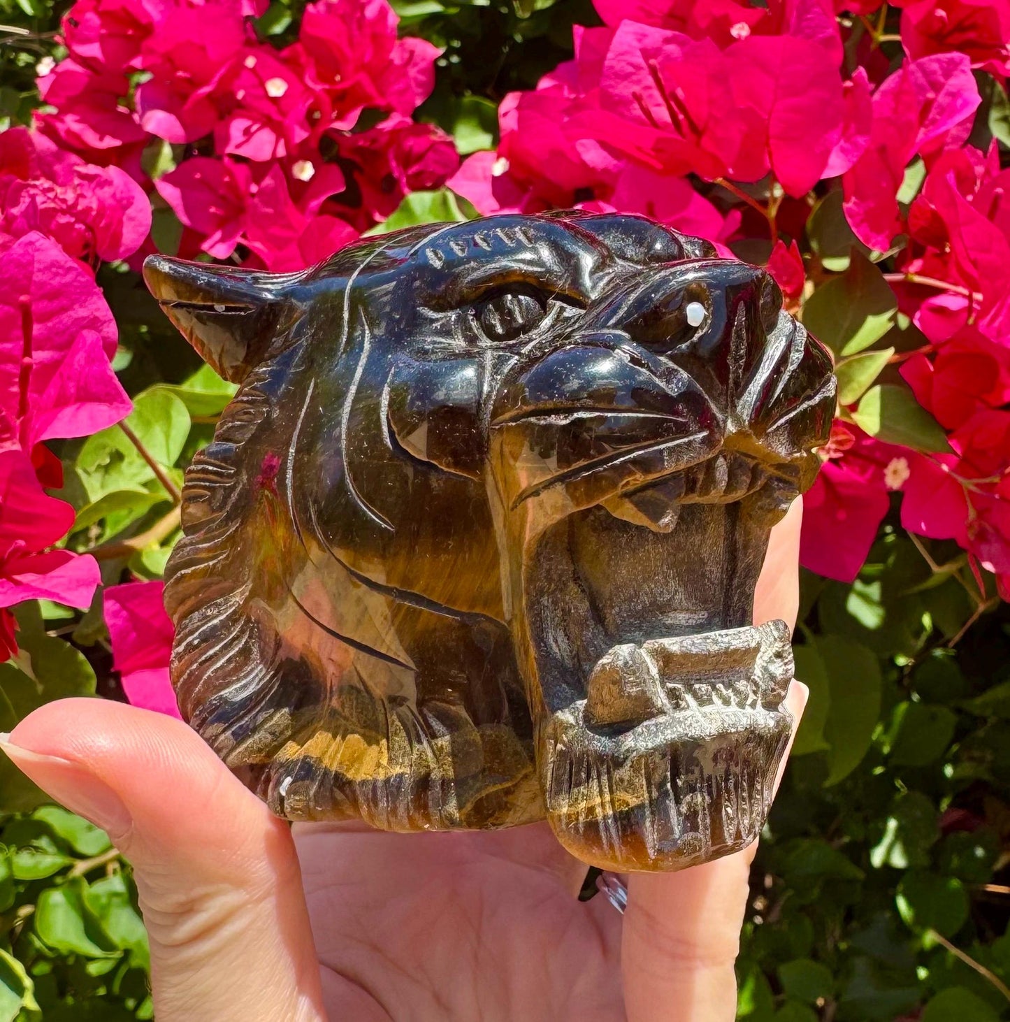 Tiger Eye Crystal Tiger Head Tigers Eye Stone Tiger Head Carving Tiger Spirit Animal