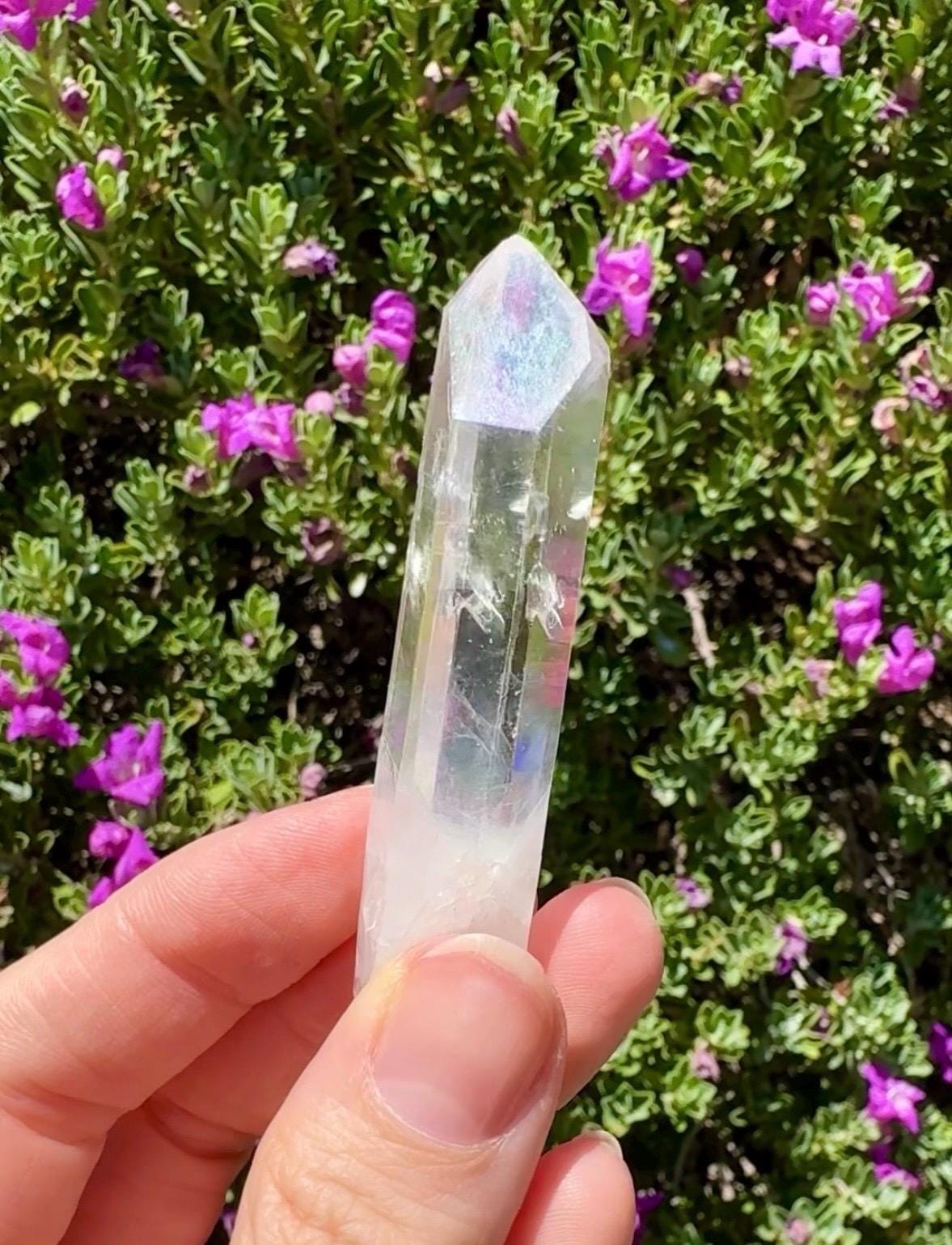 High Quality Colombian Lemurian