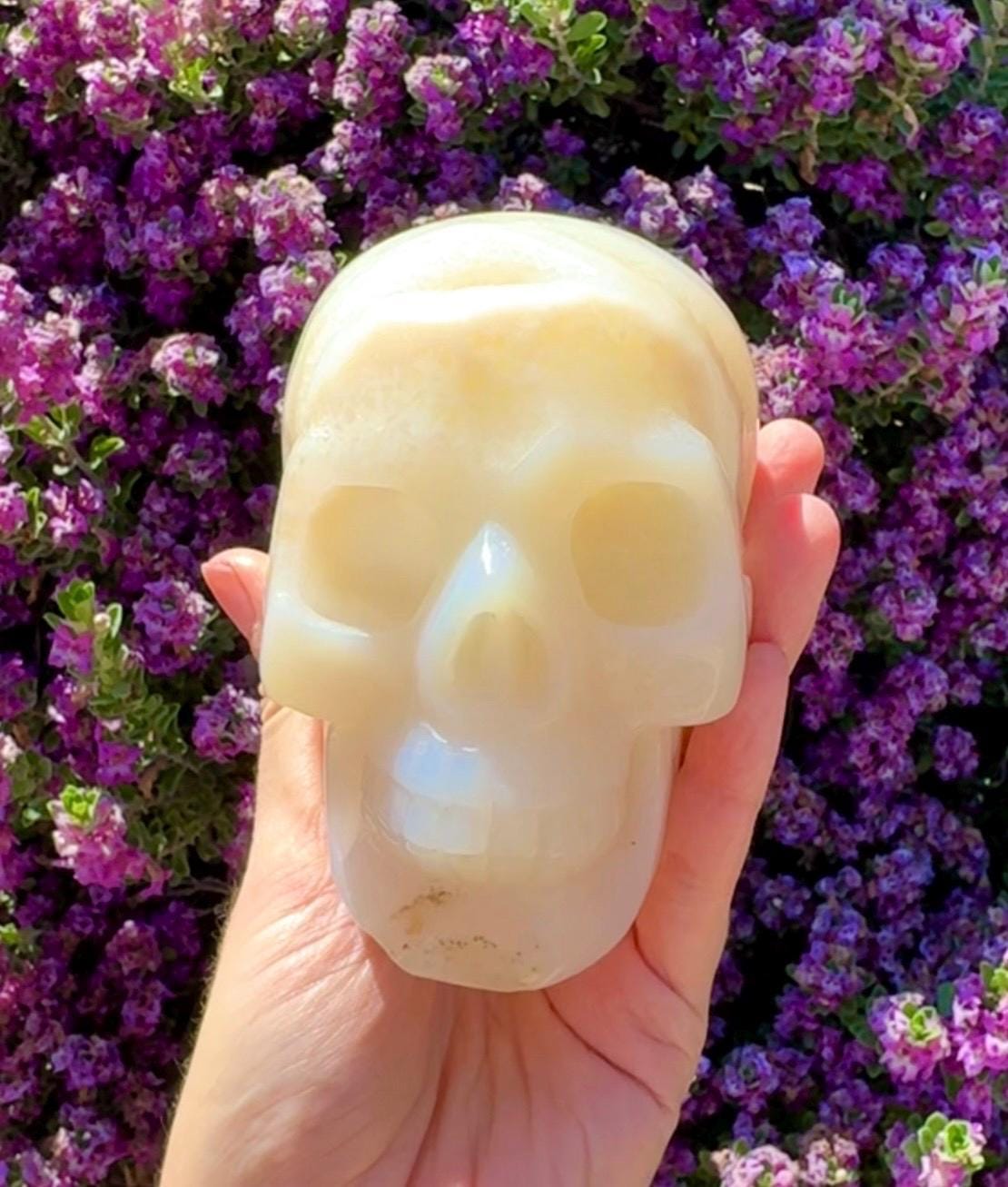 Druzy Agate Crystal Skull
