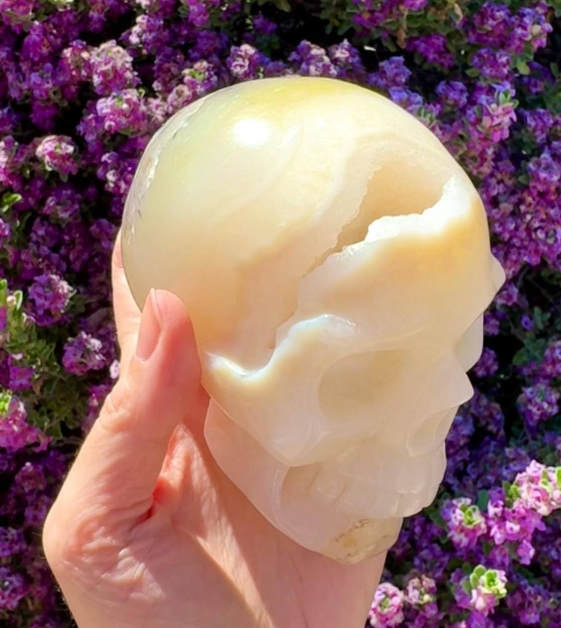 Druzy Agate Crystal Skull