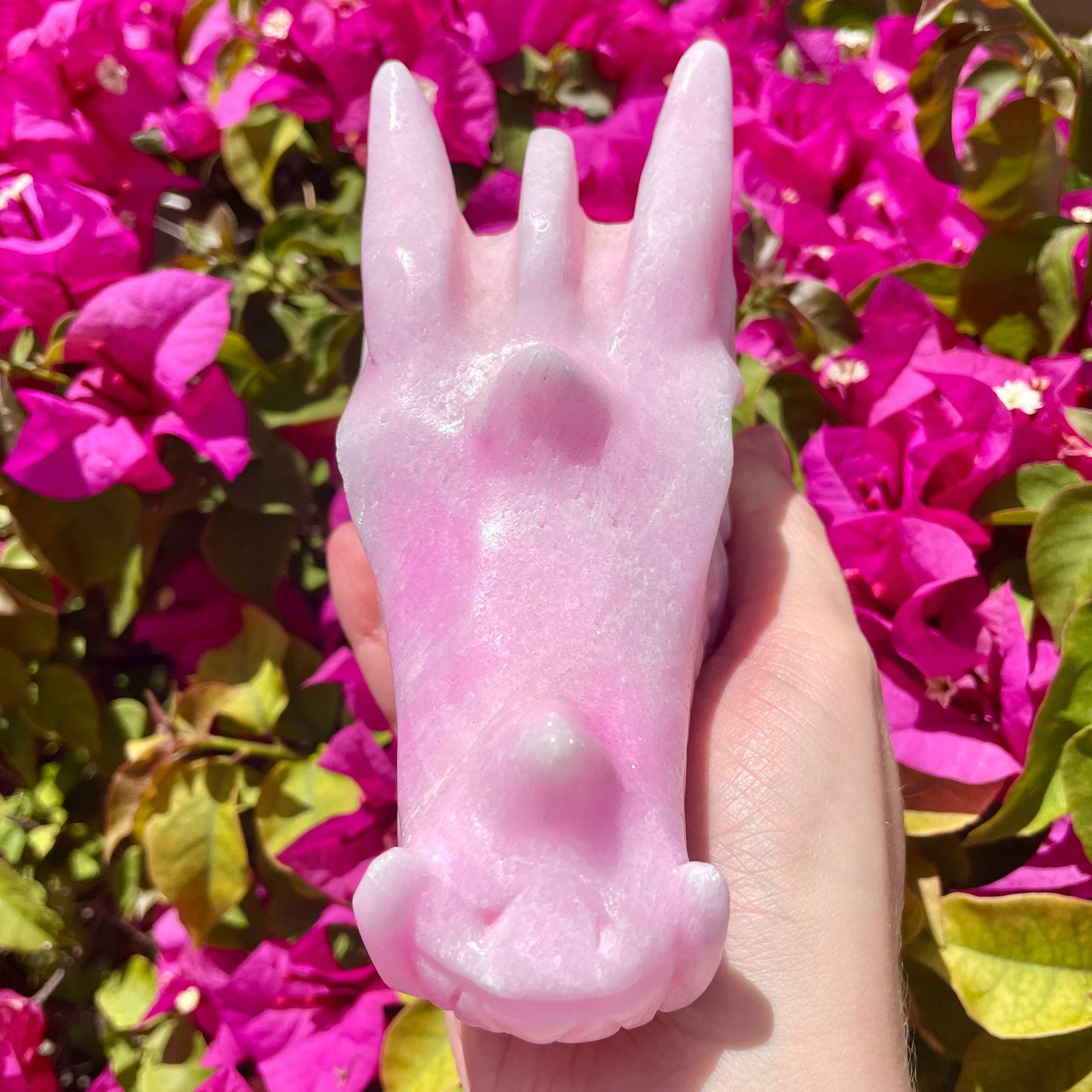 Stunning Pink Aragonite Dragon Head