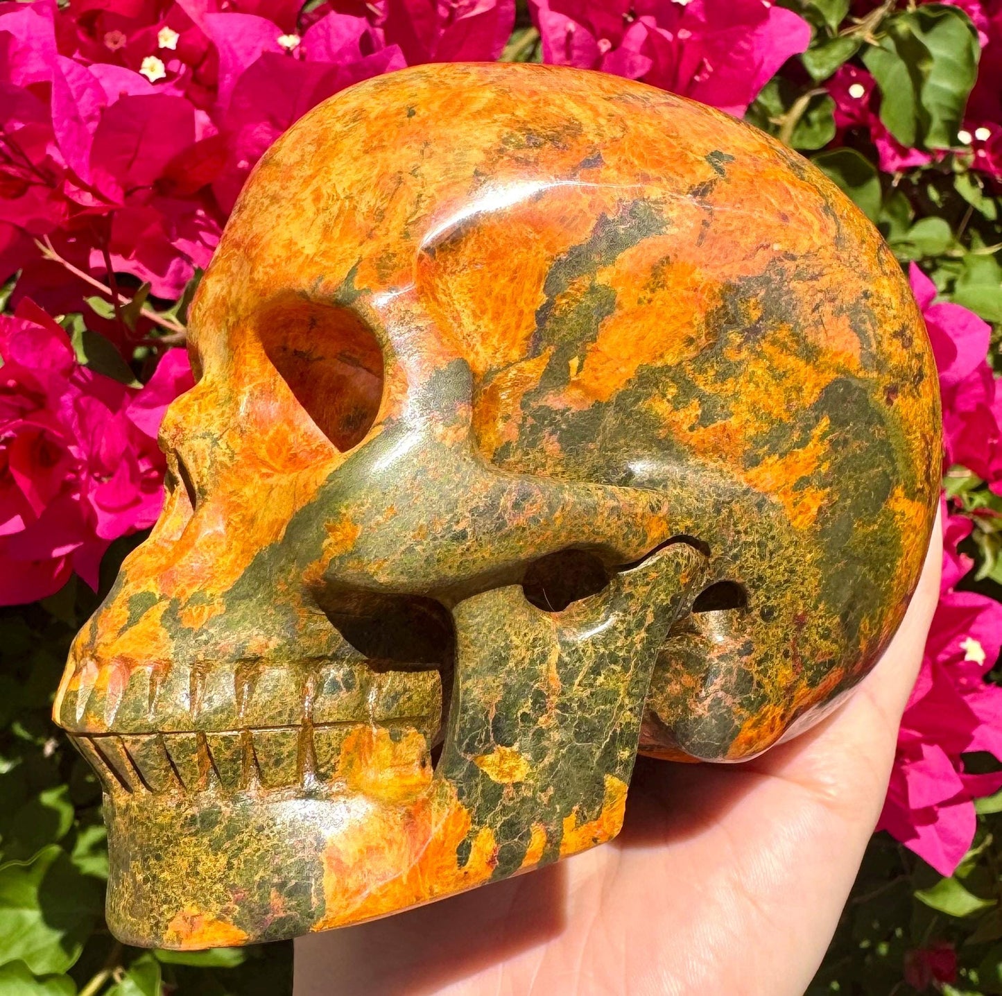 Stunning Huge Realistic Crystal Skull Yellow Jasper Skull 5