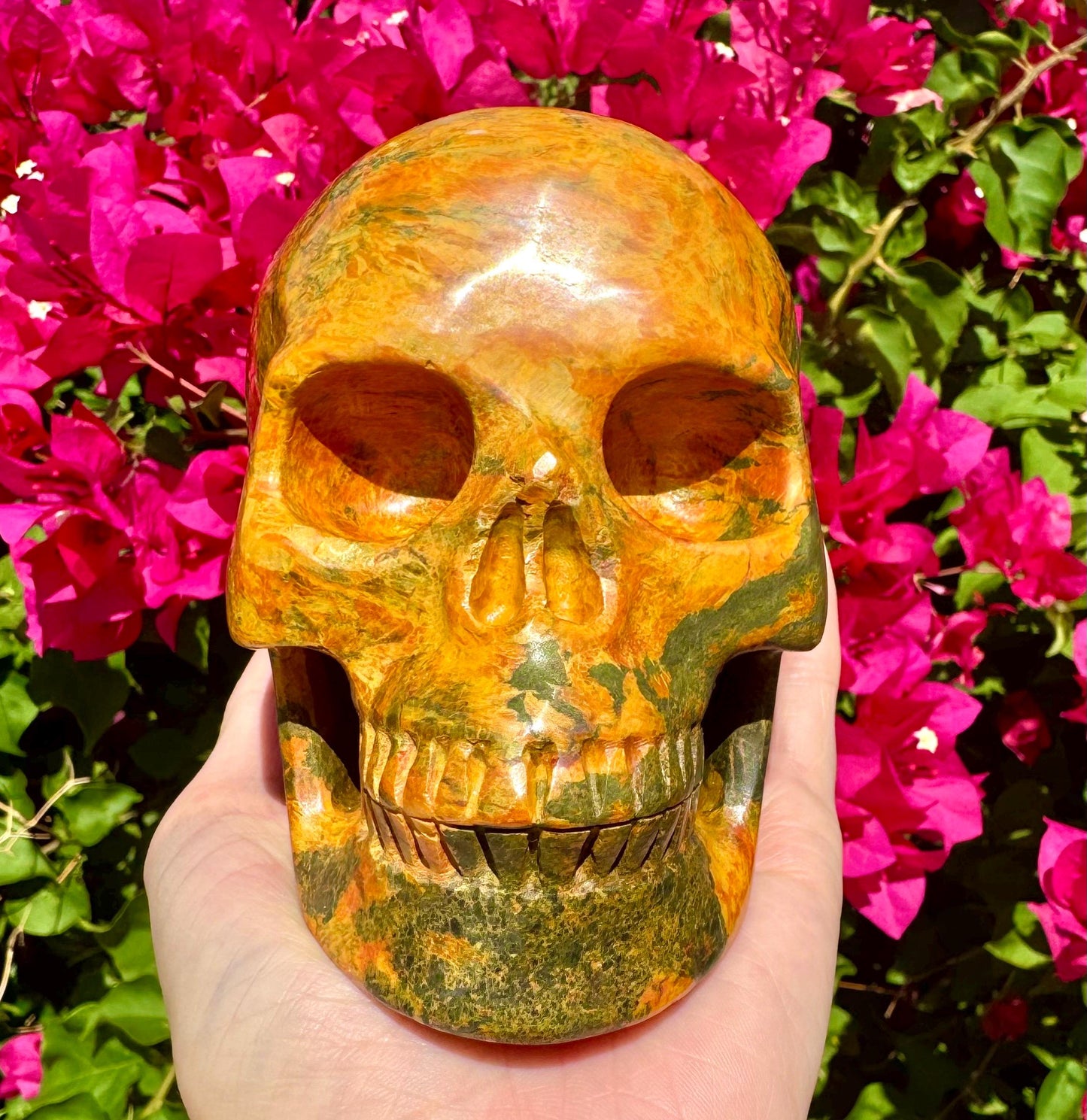Stunning Huge Realistic Crystal Skull Yellow Jasper Skull 5