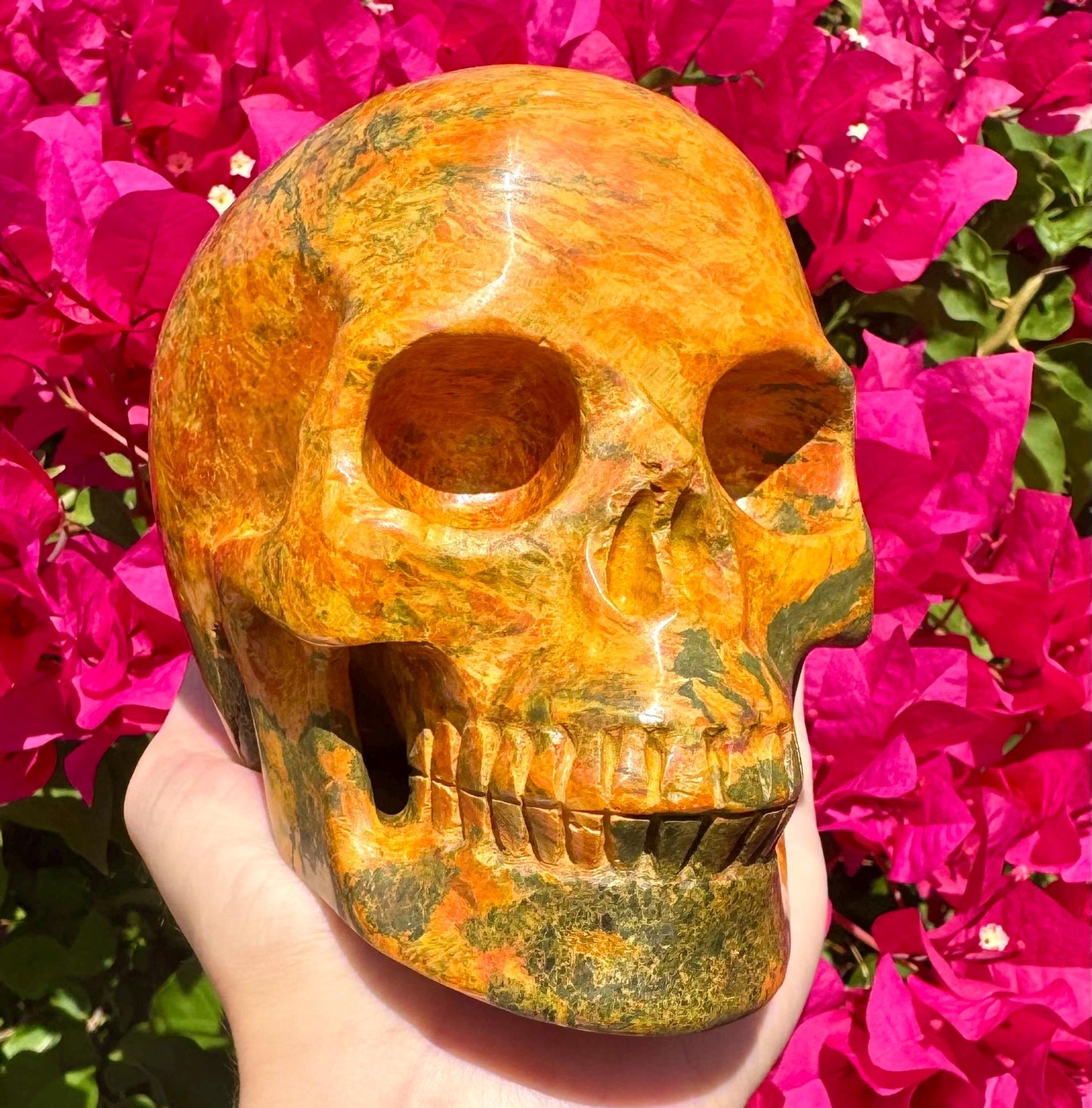 Stunning Huge Realistic Crystal Skull Yellow Jasper Skull 5