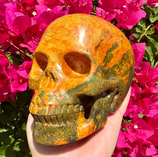 Stunning Huge Realistic Crystal Skull Yellow Jasper Skull 5