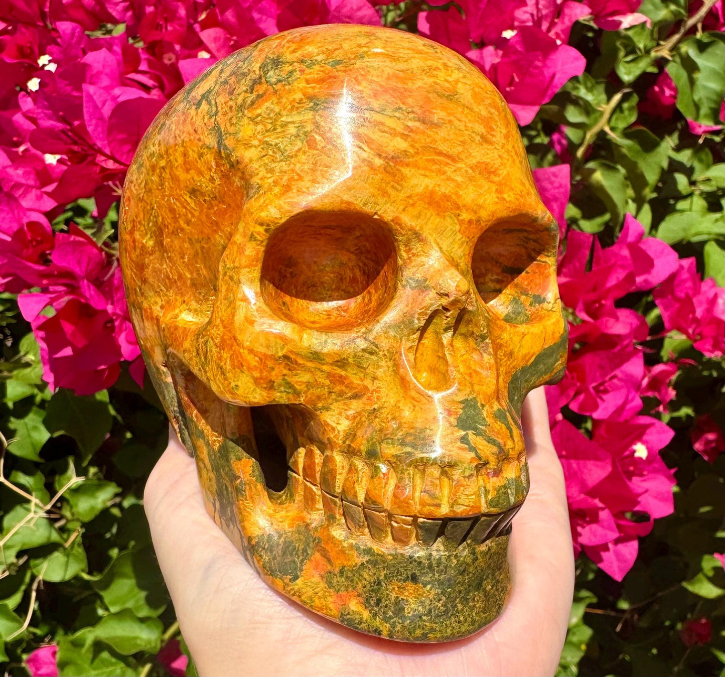 Stunning Huge Realistic Crystal Skull Yellow Jasper Skull 5