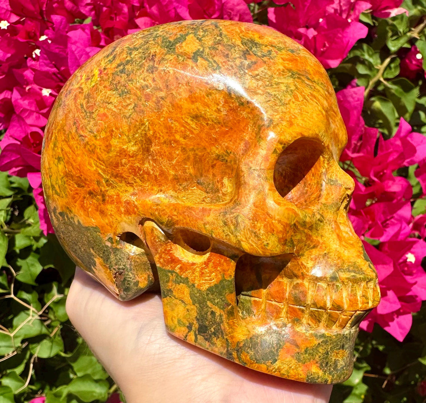 Stunning Huge Realistic Crystal Skull Yellow Jasper Skull 5